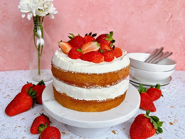 Soft and airy vanilla sponge cake layered with creamy frosting.
